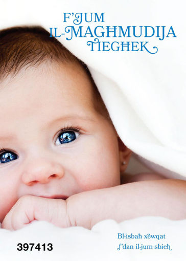 Picture of FJUM IL-MAGHMUDIJA TIEGHEK BLUE